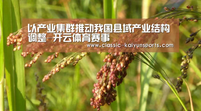 以产业集群推动我国县域产业结构调整-开云体育赛事