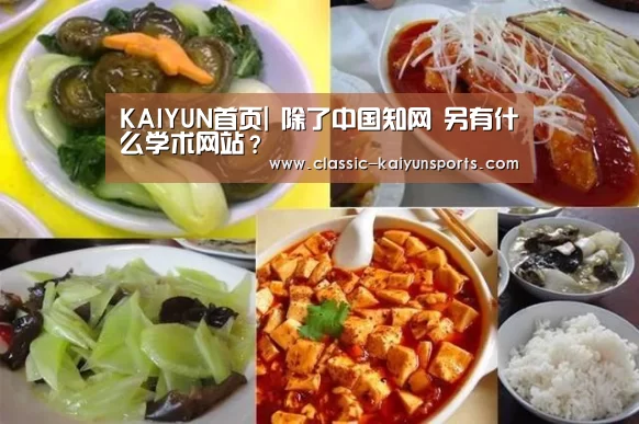 KAIYUN首页|
除了中国知网 另有什么学术网站?